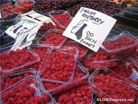 Postcard English Raspberry