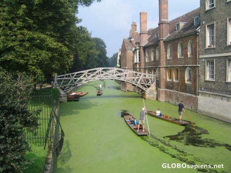 Postcard The Mathematical Bridge