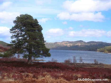 Loch Affric