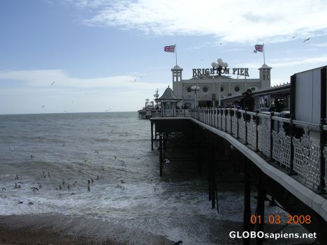 Postcard Brighton