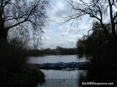 Postcard View of Regent's Park