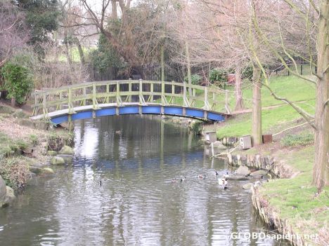 Postcard Regent's Park