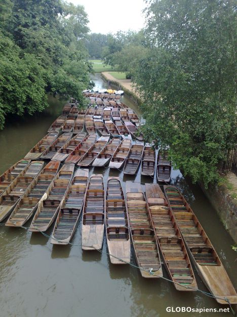 Punts on the Isis