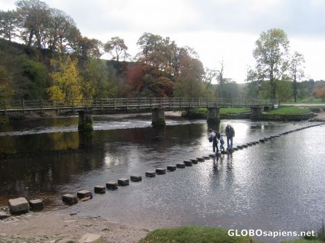 Postcard Stepping stones