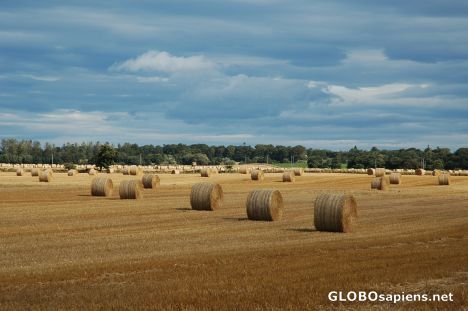 Postcard Near Forres.