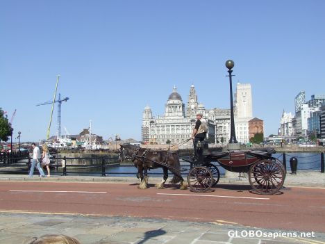 Postcard Sedate travel albert dock liverpool