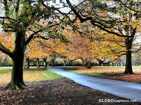 Postcard Autumn