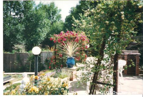 Postcard Still tidy 2