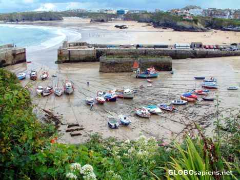 Postcard Newquay - harbour at low tide