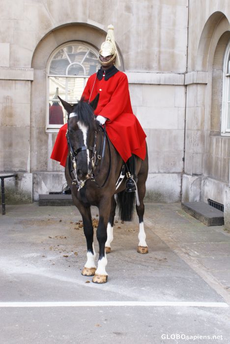 Postcard horse guards parade