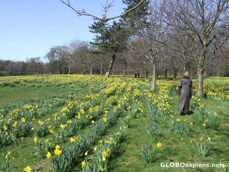 Postcard Sefton Park L'pool