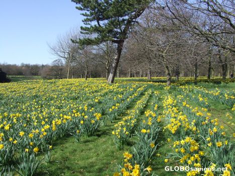 Postcard Sefton Park L'pool