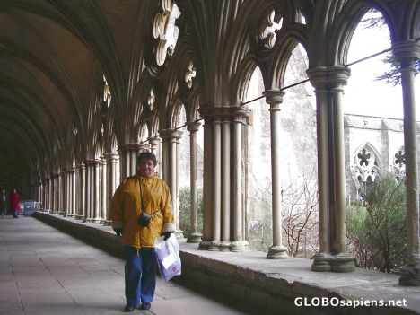 Postcard Salisbury Cathedral - Cloister walk