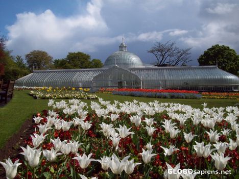 Postcard Botanic Gardens