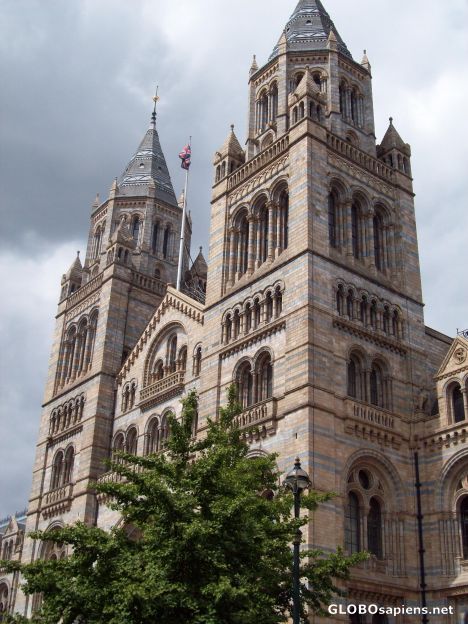 Postcard Natural History Museum