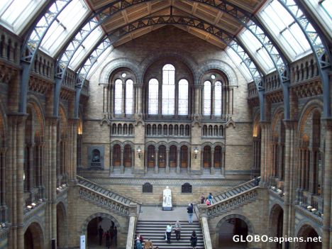 Postcard Natural History Museum 2