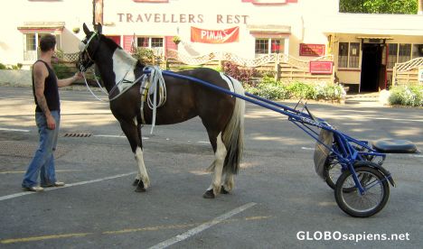 Postcard One horsepower!!.