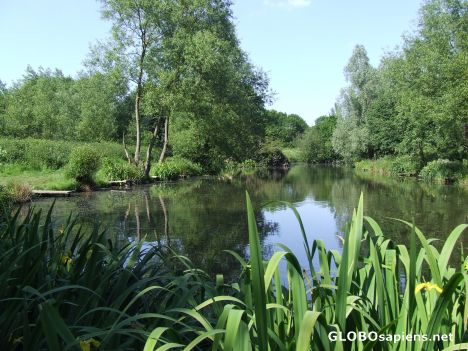 Postcard Local park in Prescot near Liverpool