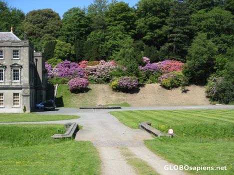 Parc Glynllifon - a bit of colour