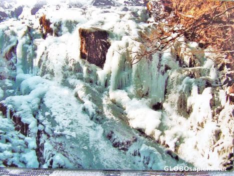 Postcard Swallow falls in winter