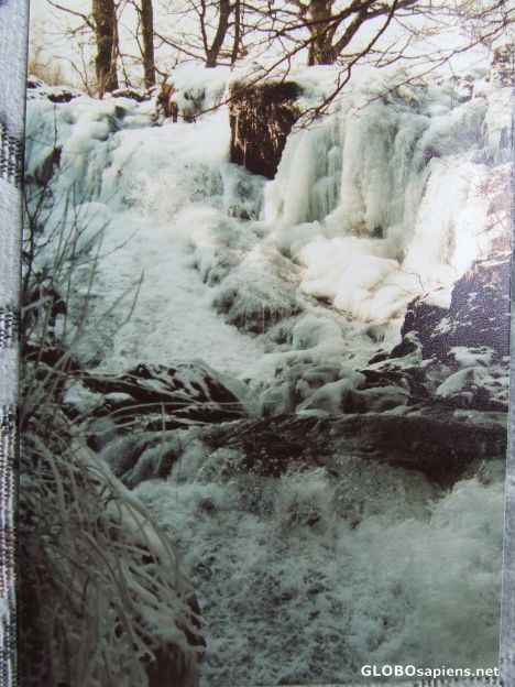 Postcard Winter swallow falls