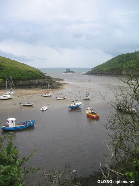 Postcard Solva harbour