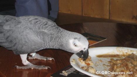 Postcard Sharing my meal!!