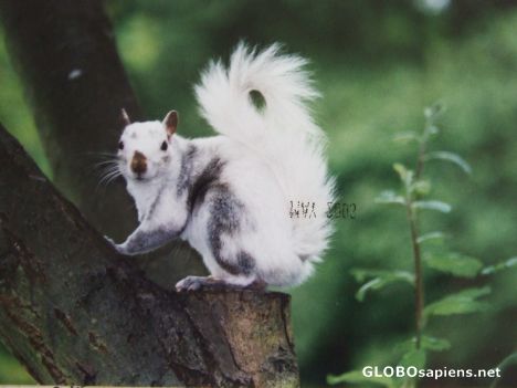 Postcard Getting braver