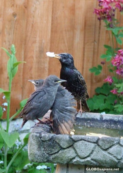 Postcard Bath time