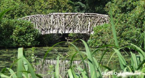 Postcard Japanese garden Tatton park