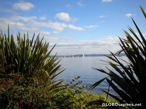 Postcard Beautiful Sunday 2