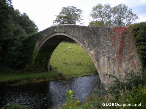 Postcard The Auld Brig