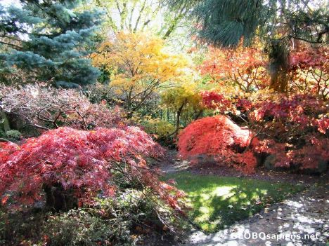 Postcard Autumn