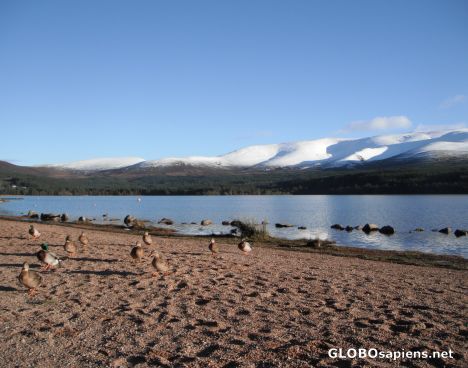 Loch Morlich 3