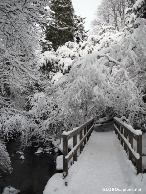 Postcard Rouken Glen Park