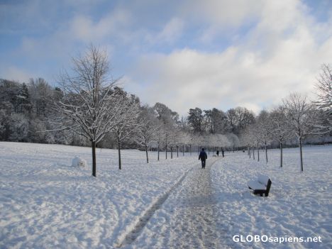 Postcard Rouken Glen 2
