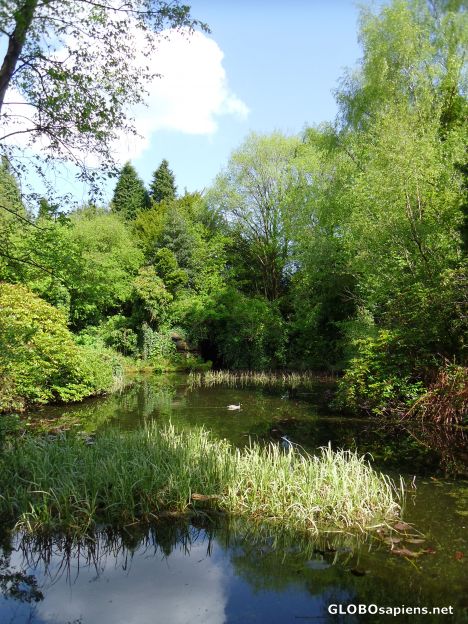 Postcard Rosshall Park