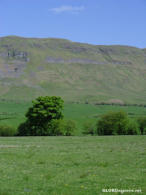 Postcard Them Thar Hills