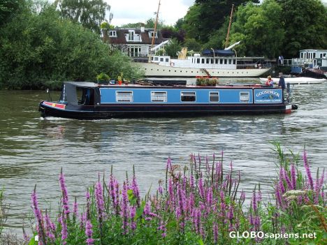 Postcard Thames near Kew