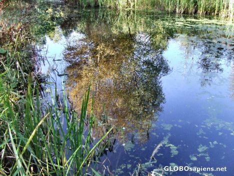 Postcard Reflections