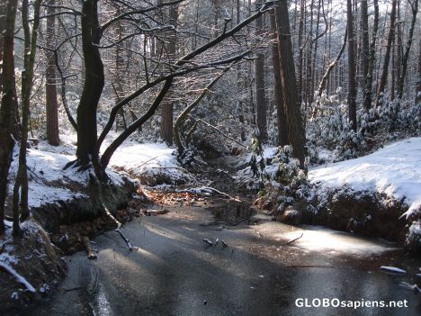 Postcard A very small frozen river