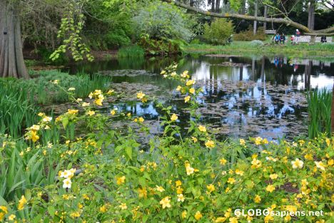 Postcard Londyn - Kew Gardens