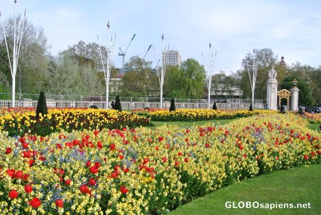 Postcard London - near Buckingham Palace
