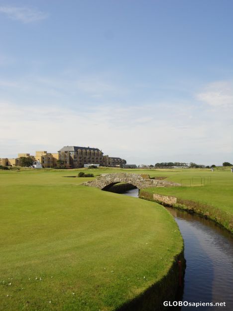 Postcard The Home Of Golf