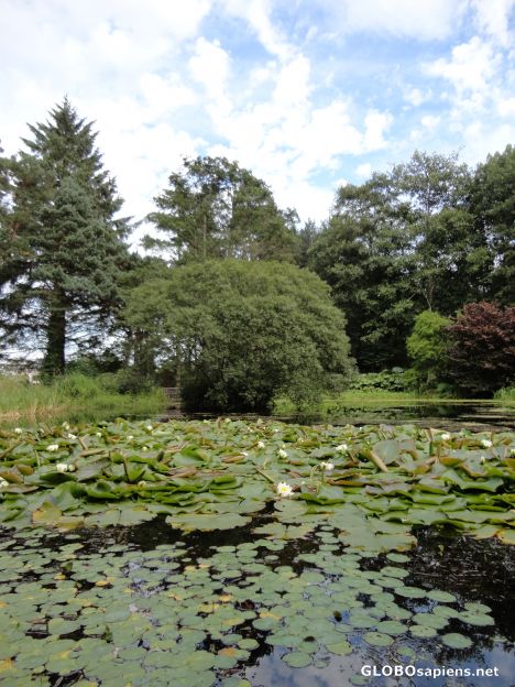 Postcard Botanic Garden