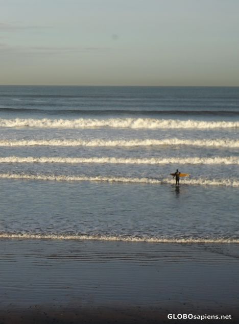 Postcard Surf's Up