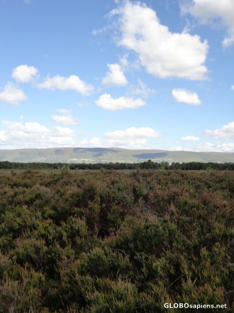 Postcard Lenzie