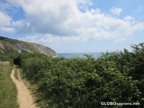 Postcard The Coastal Path