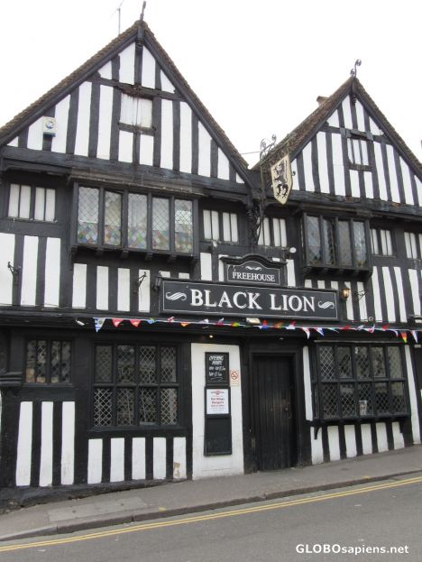 Postcard The Black Lion