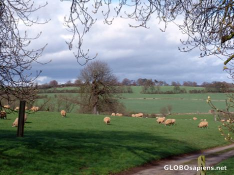 Postcard Cotswolds in Early Spring